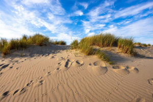 Sand Dunes with vegetation can be built up using quarried sand to help with natural coastal defence.